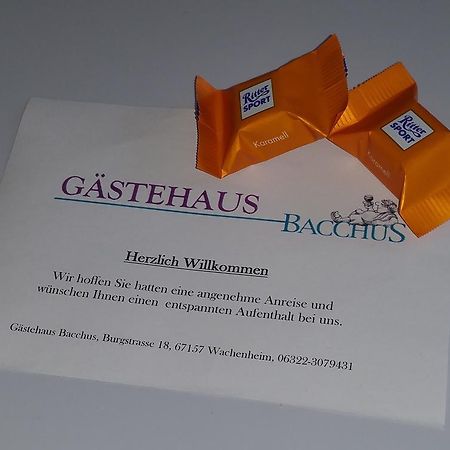 Gaestehaus Bacchus Wachenheim an der Weinstrasse Ngoại thất bức ảnh