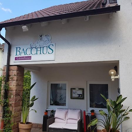 Gaestehaus Bacchus Wachenheim an der Weinstrasse Ngoại thất bức ảnh