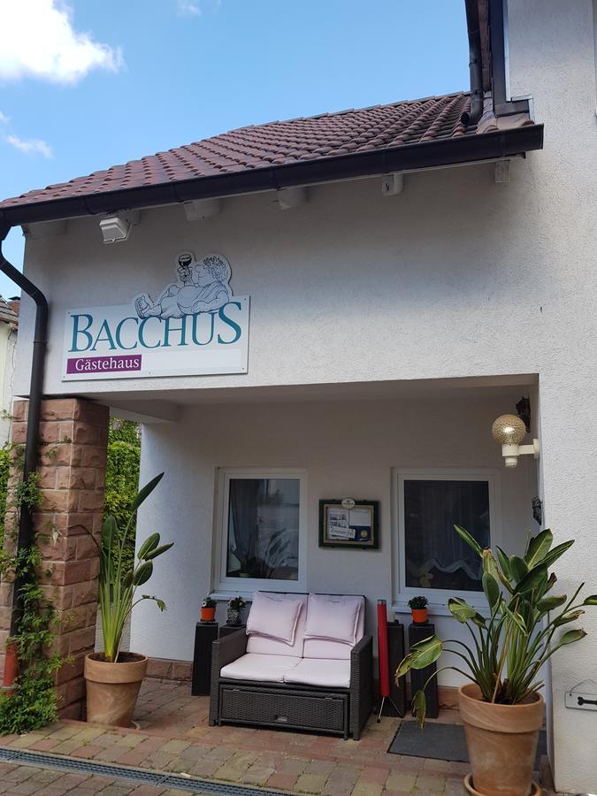Gaestehaus Bacchus Wachenheim an der Weinstrasse Ngoại thất bức ảnh