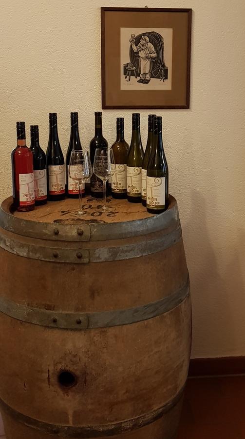 Gaestehaus Bacchus Wachenheim an der Weinstrasse Ngoại thất bức ảnh